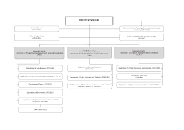 Company Structure Template Online Charts Collection