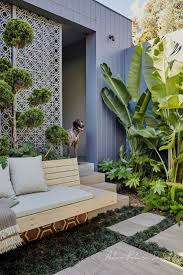 Balmain Landscape Design Project Landscaping Patio Outdoor Living Palms German Shorthaired Poin In 2020 Tropical Garden Design Small Garden Design Garden Design