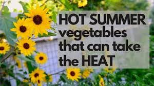 Maybe you would like to learn more about one of these? Hot Summer Garden Vegetables Which Vegetables Can Take The Heat Of An Arizona Summer Youtube