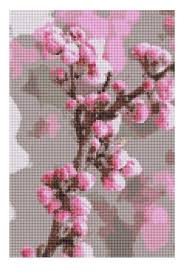 Also use two plies for cross stitch over two threads on 28 count fabric. My Digital Cross Stitch The Japan Popular Sakura Cherry Blossom Steemit