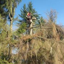 Damit sie ihren garten als das erleben können, was er ist: 10 Besten Landschaftsgartner In Saarbrucken Regionalverband Saarbrucken