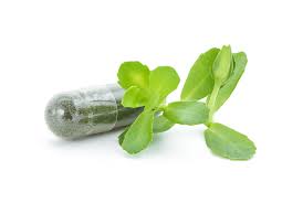 Image result for Bacopa monnieri