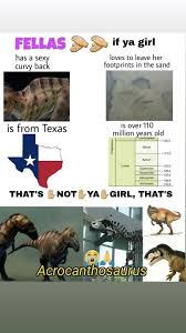 In fact, these 50 dinosaur jokes for kids are sure to envoke laughter. Dinosaur Memes That Ll Make You Say Clever Girl We Re Fine Memes