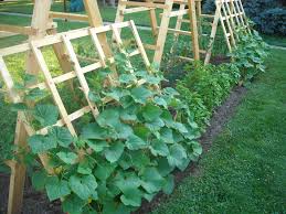 ( via lovely greens ) make sure to look for pallets with ht stamps which means they are heat treated instead of chemical treated. 23 Functional Cucumber Trellis Ideas Guaranteed To Boost Your Harvest