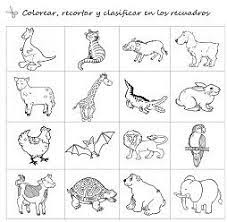 Cositas De Al Y Pt Animales Salvajes Y Domesticos Para Infantil Animales Oviparos Fichas De Animales Animales Oviparos Y Viviparos