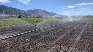 Record Rainfall Year Ends Emergency Drought Order, A Farmers Perspective