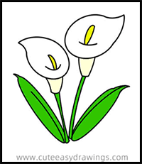 Flowers invigorate the senses by adding beauty, color, and wonderful smells to our lives. How To Draw Flowers Drawing Tutorials Drawing How To Draw Flowers Blossoms Petals Drawing Lessons Step By Step Techniques For Cartoons Illustrations