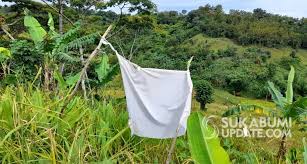 Cimarinjung km.44, ciwaru, ciemas, ciwaru, ciemas, sukabumi regency, jawa barat 43177. Lahan Huma Girimukti Sukabumi Potensi Pertanian Geopark Ciletuh