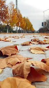 Marvin Marcus@mbfcwrzi