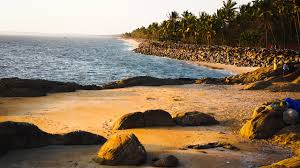 Chaliyar Palm Ghat Resort Kozhikode Kerala Lodge Reviews Photos Rate Comparison Tripadvisor