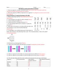 Name Period ______ Date ______ Pap Meiosis Genetics