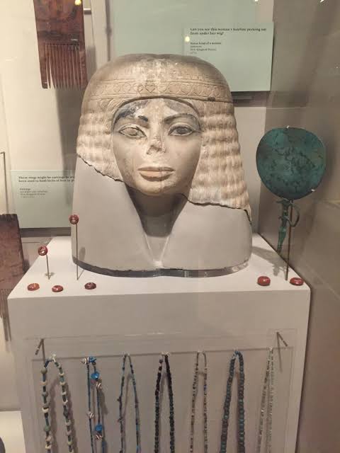 I saw Michael Jackson in the Egyptian exhibit at the Chicago field ...