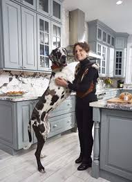 We did not find results for: This Pawsitively Gorgeous Kitchen Was Inspired By A Great Dane