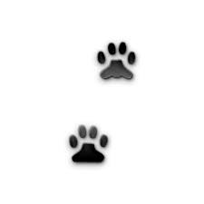 When considering paw print tattoo designs, there are no defined rules or guidelines you have to follow. Cat Paw Print Tattoo Designs