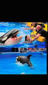 Jessica Dance Accident Video | TikTok