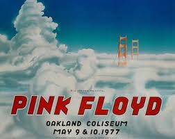 Image result for Pink 1977 Caloric