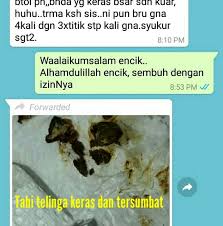 Kan aku ada cakap taik telinga aku keras kan ? Original Ear Wax Cleanser Ubat Cuci Telinga Daun Herba Mujarab Ship On Same Day Shopee Malaysia