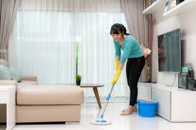 singapore disinfection service