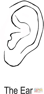 Feel free to print and color from the best 40+ ear coloring page at getcolorings.com. The Ear Coloring Page Free Printable Coloring Pages Coloring Home