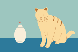Don't apply oils directly on your cat (even those considered safe) without first talking to your veterinarian. How To Keep Cats Safe Around Essential Oils Daily Paws