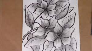 Gambar ikan hitam putih infoikan.com ikan adalah anggota vertebrata poikilotermic (berdarah dingin) yang hidup di air dan bernapas dengan insang. Sketsa Bunga Kamboja Ragam Hias Flora Youtube