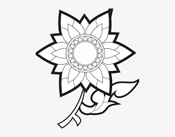 Hand drawing botanical vector illustration. Sunflower Black And White Sunflower Clipart Black And Flower Drawings Free Transparent Png Download Pngkey