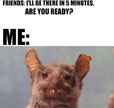 Twitter Cat Quotes Funny Funny Photoshop Funny Love
