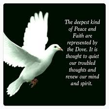 Spiritual Peace Dove Symbolism Inspirational Quotes Doves