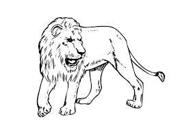 Lion Free Pritout 24 Realistic Lion Coloring Pages Animals Printable Coloring Pages Lion Coloring Pages Animal Coloring Pages Animal Coloring Books
