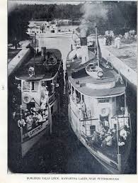 Image result for Lintonia