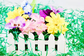 25x picket fence garden fencing lawn edging home yard christmas tree fence white. Diy White Picket Fence Flower Garden Annmarie John