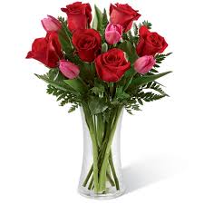 We did not find results for: Red Roses And Tulips