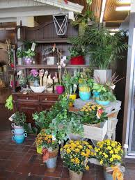Maybe you would like to learn more about one of these? Fall Mums Plants Available At Owens Flower Shop Lawrence Ks Fall Mums Planting Mums Flower Shop