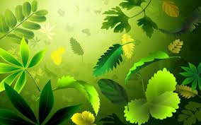 Maybe you would like to learn more about one of these? Green Wallpapers Top Free Green Backgrounds Wallpaperaccess
