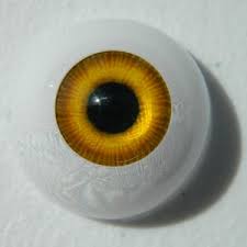 Glass false eyes