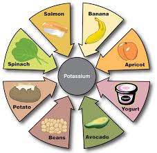 نتیجه جستجوی لغت [potassium] در گوگل