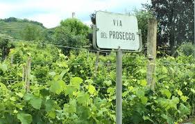 It is 47 km long and winds around the hills or 'colli' of conegliano, feletto, quartier del piave and valdobbiadene. Conegliano The Beginning Of La Strada Del Prosecco