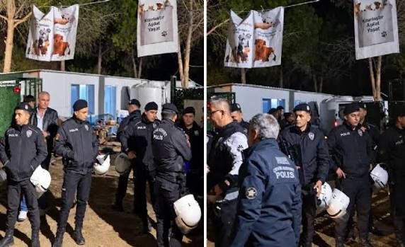 Ege Üniversitesi'ne gece yarısı baskını: 200'e yakın köpek toplatıldı, kampüste arbede yaşandı!