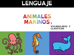 We did not find results for: Arriba Abajo Izquierda Derecha Juegos Online Gratis Para Ninos En Preescolar Por Dolores Devoto
