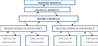Organizational Structure Of The Public Healthcare System
