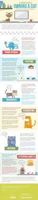 Cat Infographic Working From Home Cat Infographic Owning A Cat Infographic