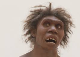 La evolución humana u hominización es el proceso de evolución biológica del homo sapiens.el estudio de dicho proceso requiere un análisis interdisciplinar en el que se aúnan conocimientos procedentes de ciencias como la genética, la antropología física, la paleontología, la estratigrafía, la geocronología, la arqueología, la lingüística y otras. Garcon Du Turkana Nariokotome Hominides