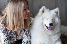 Check spelling or type a new query. 11 Tips To Reduce Pet Allergies