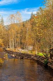 Parcuri naţionale care trebuiesc vizitate dacă ajungeţi în zona parcul natural defileul mureşului superior românia. Parcul Natural Defileul MureÈ™ului Superior Din MureÈ™ Planiada