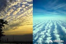 The site owner hides the web page description. è®©ä½ å¤±æœ›äº†åœ°éœ‡äº'å¹¶ä¸å­˜åœ¨ æ‰‹æœºæ–°æµªç½'
