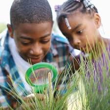 Jacksonville Elementary School