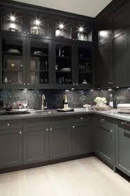Dream Kitchen Kitchen Design Black Kitchens Shaker Kitchen Cabinets
