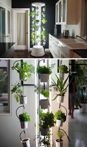 5 Vertical Vegetable Garden Ideas For Beginners Vertical Vegetable Garden Indoor Vegetable Gardening Indoor Vegetables