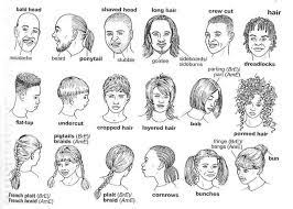 Ielts speaking part 1 hairstyles: Hairstyle Vocabulary English Vocabulary English For Beginners Vocabulary