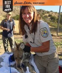 Pin On Wildlife Bio